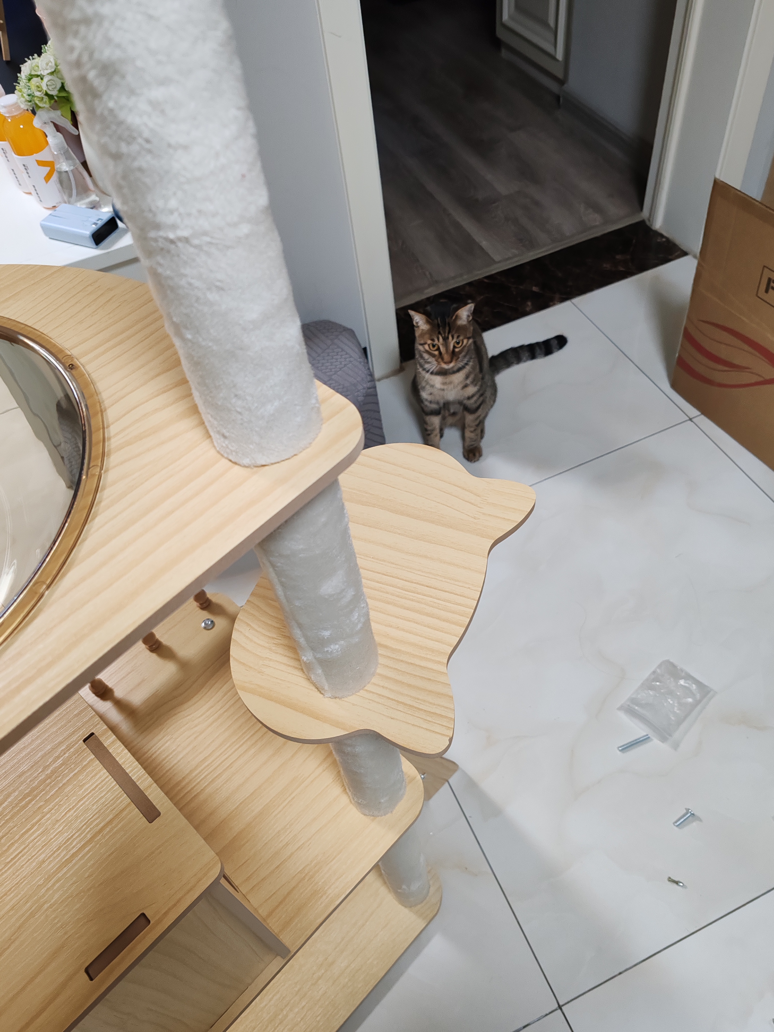 唐米吉吉加粗大型猫爬架猫窝猫树一体太空舱猫架子小户型不占地剑麻猫玩具 150cm 7层【双太空舱冲量款】 实拍图