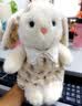 名创优品（MINISO）塔妮兔花园工坊小兔子玩偶可爱公仔毛绒玩具陪睡抱枕生日礼物送女 实拍图