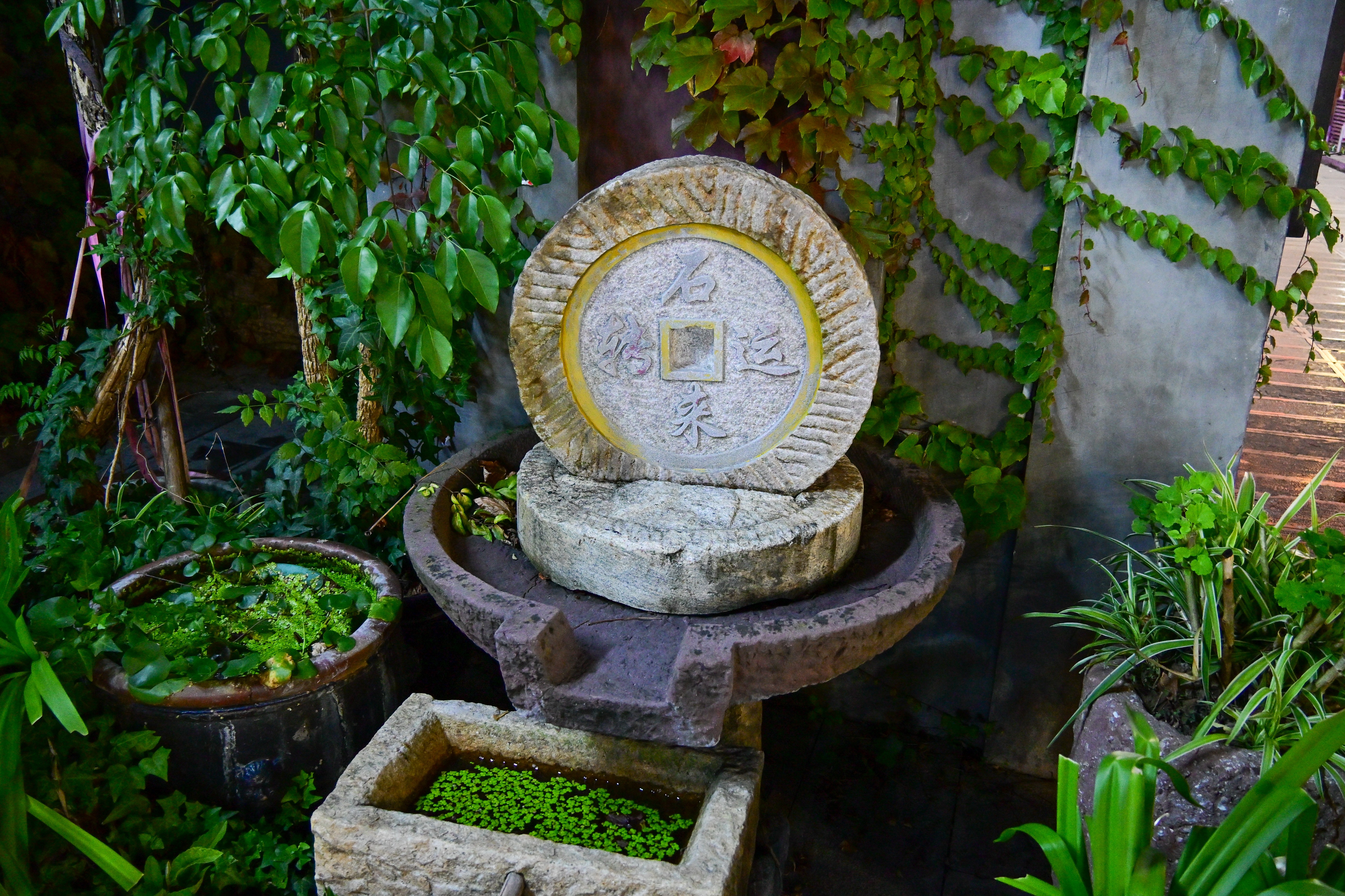 尼康（Nikon） Z18-140mm F3.5-6.3 微单镜头 VR 半画幅微单相机镜头 旅游变焦镜头 晒单送赠品 实拍图