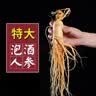 半山农新鲜人参1支约40克 东北特产长白山人参泡酒药材长辈补品年货礼品 实拍图