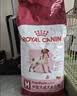 皇家狗粮 成犬狗粮 犬粮 宠物 中型犬 M25 全价犬粮12月15KG 宠物金选 实拍图