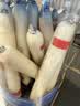 小鹿蓝蓝海洋无污染鳕鱼肠300g 减钠升级宝宝儿童零食益生元肉肠 出游送礼 实拍图