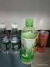 统一（President）绿茶 茶饮料 500ml*15瓶 整箱装 实拍图