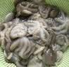 美加佳三去小章鱼净重2斤（500g*2袋）16-26只 去脏八爪鱼火锅聚餐 实拍图