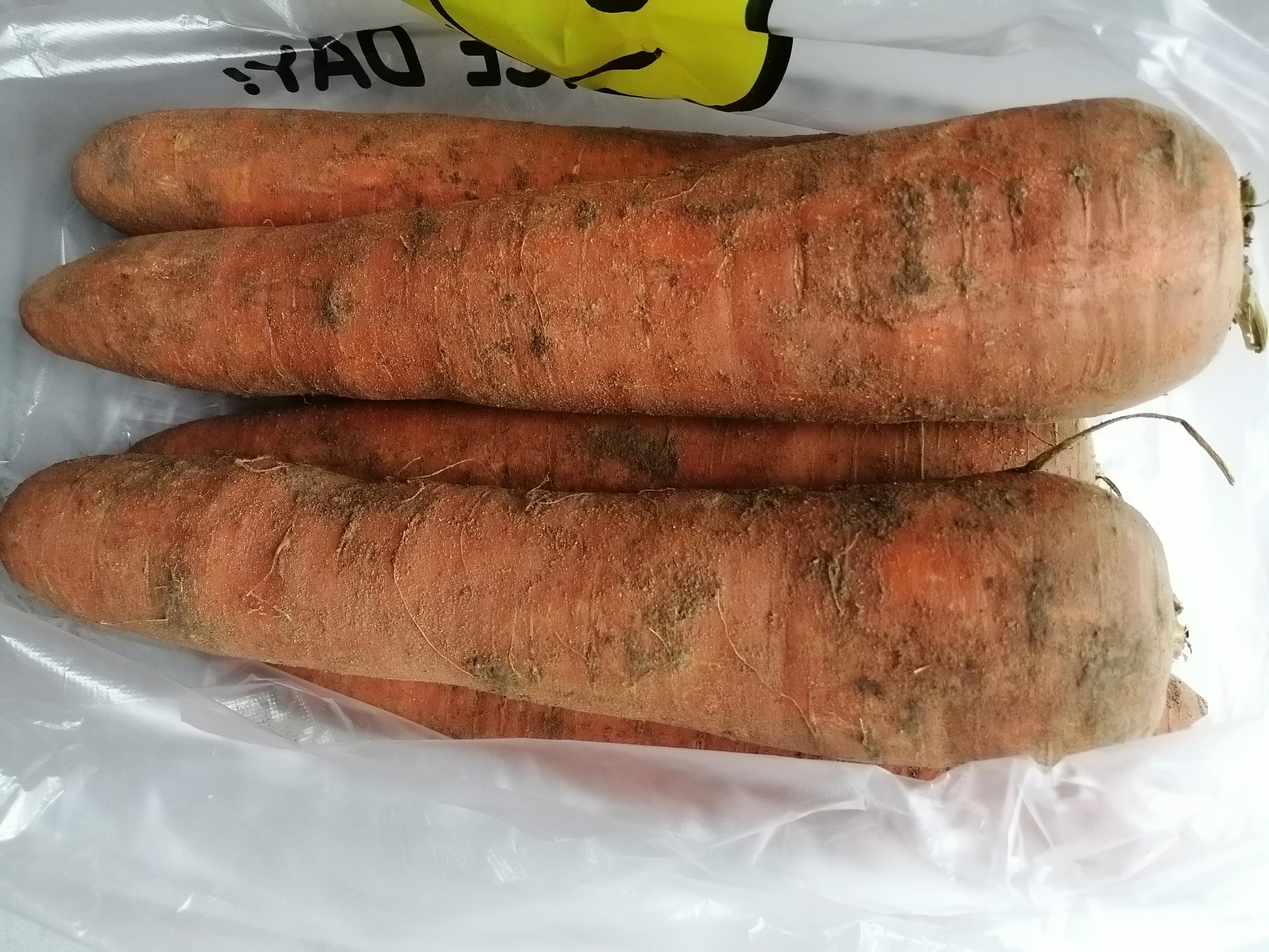 京喜加山东新鲜胡萝卜水果胡萝卜现挖现发蔬菜水果沙地红萝卜减脂 带泥胡萝卜5斤 净重 含箱 实拍图