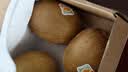 佳沛（zespri）新西兰金奇异果猕猴桃 5粒装 单果约88-103g 水果源头直发 实拍图