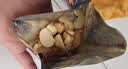 沃隆每日坚果750g/30袋坚果炒货孕妇零食核桃仁休闲零食节日礼盒 实拍图