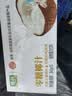 椰谷（YEGU）0糖椰汁245g*10瓶 椰子汁椰肉生榨椰奶零蔗糖植物蛋白饮料整箱 实拍图