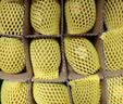 佳沛（zespri）新西兰金奇异果12粒特大果124-146g猕猴桃水果礼盒 实拍图