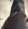 浪莎秋裤男单件纯棉薄款秋冬季羊毛抑菌护膝男士棉毛裤保暖线裤衬裤 实拍图