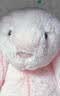 Jellycat害羞乳白色邦尼兔动物毛绒玩偶安抚玩偶娃娃送礼生日新婚礼物 害羞胭脂粉色邦尼兔 Medium 实拍图