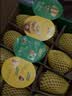 佳沛（zespri）新西兰阳光金奇异果6粒装88-103g猕猴桃水果水果礼盒 实拍图