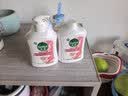 滴露（Dettol）洗手液抑菌消毒滋润500g+500g 补充装 儿童家庭护手替换装 实拍图
