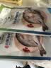 仙泉湖三去白蕉海鲈鱼1斤/条净膛刺少肉厚珠海特产500g海鲜水产生鲜食材 实拍图