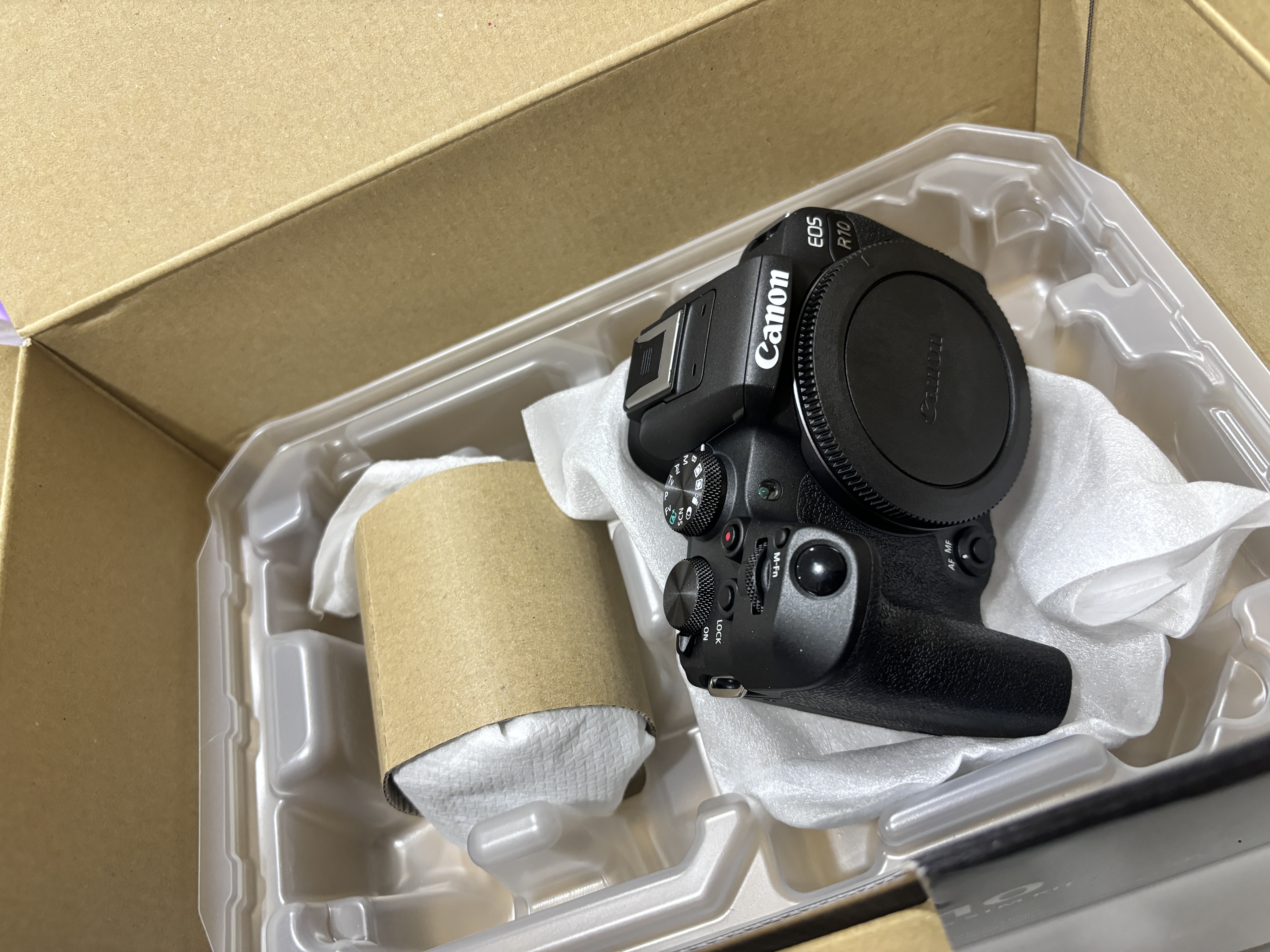 佳能（Canon）【官方旗舰】R10微单相机 风光人像旅游 4K视频 轻量小型 半画幅佳能相机r10 18-45mm套机 实拍图