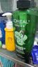 欧莱雅茶树洗发水 植萃去屑清爽控油去油男士女士洗发露500ml 实拍图