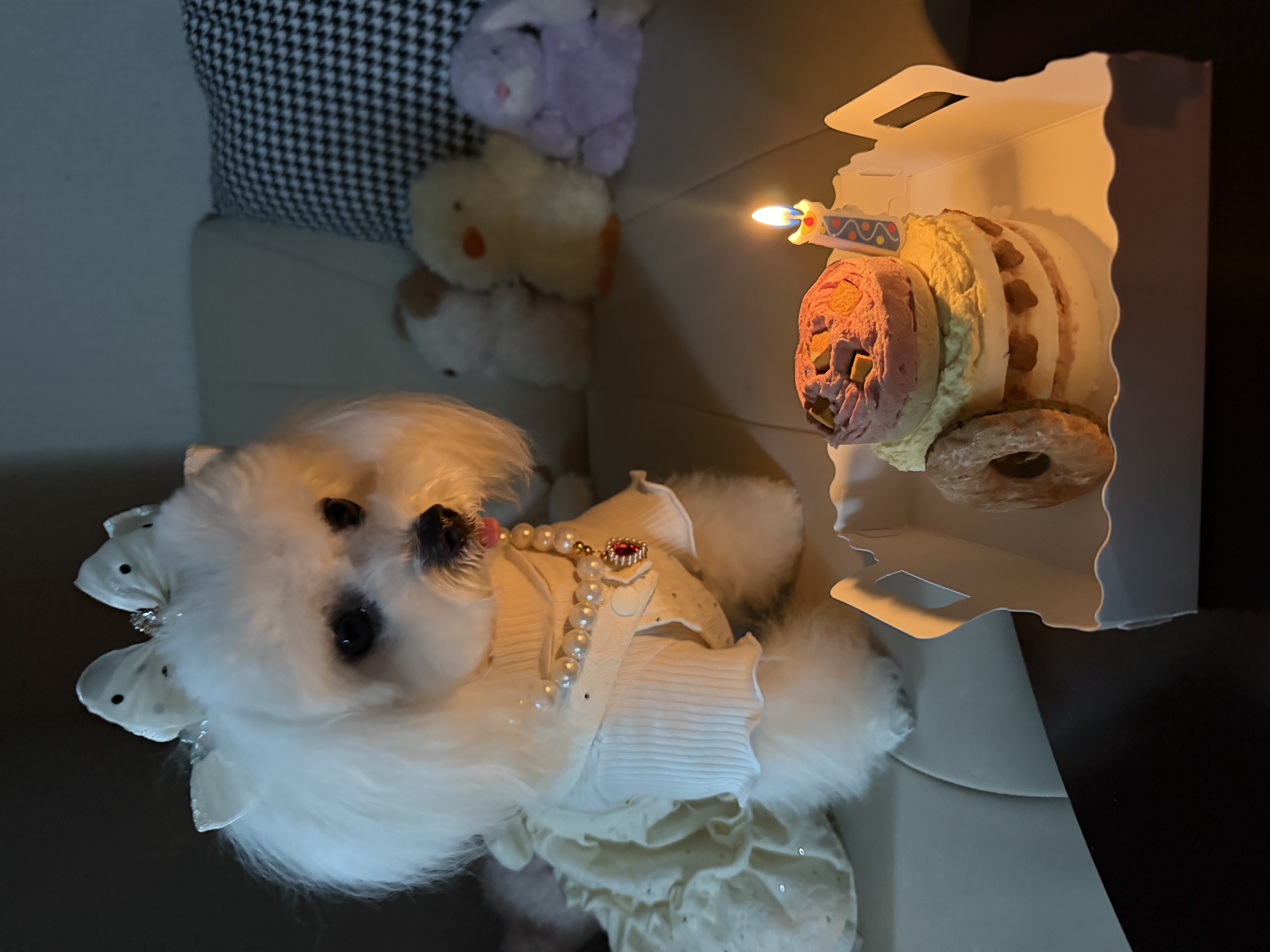 极度空间生日蜡烛生日装饰蛋糕装饰生日派对布置 马卡龙糖果色5个装 实拍图
