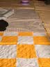 贝傅特野餐垫防潮加厚垫公园帐篷露营垫户外坐垫黄格2米*2米可坐8人 实拍图