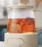 小熊（Bear）全玻璃养生壶0胶水 煮茶壶 恒温壶 炖煮花茶壶 家用烧水壶 1.5L煮水壶 YSH-H15L2 实拍图