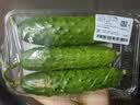 【水果菜】东北旱黄瓜约550g 实拍图