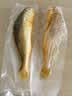 1号会员店（One's Member）冷冻宁德三去黄花鱼 大黄鱼700g/2条装 生鲜水产鱼类 双十一 实拍图