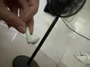 倍思BS2 Lite半入耳真无线耳机舒适佩戴蓝牙音乐运动耳机低延迟适用于苹果华为vivo荣耀 礼物 实拍图