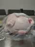 名创优品（MINISO）小猪B-BO翅膀猪玩偶娃娃猪猪抱枕学生午睡枕生日礼物女生次日达 实拍图