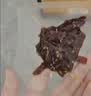 三只松鼠卤汁肉脯500g辣卤味箱装休闲零食高蛋白肉片解馋团购送礼 实拍图