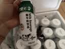 晨光酸牛奶饮品240g*12瓶 低温酸牛奶原味 乳酸菌发酵酸牛奶饮品 实拍图