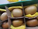 佳沛（zespri）新西兰金奇异果12粒特大果124-146g猕猴桃水果礼盒 实拍图