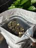 陈一凡 蜜桃乌龙茶 茶叶白桃花果香乌龙龙茶可冷泡口粮茶袋装500g 实拍图