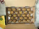 佳沛（zespri）新西兰金奇异果22粒巨大原箱146-175g猕猴桃水果礼盒 实拍图