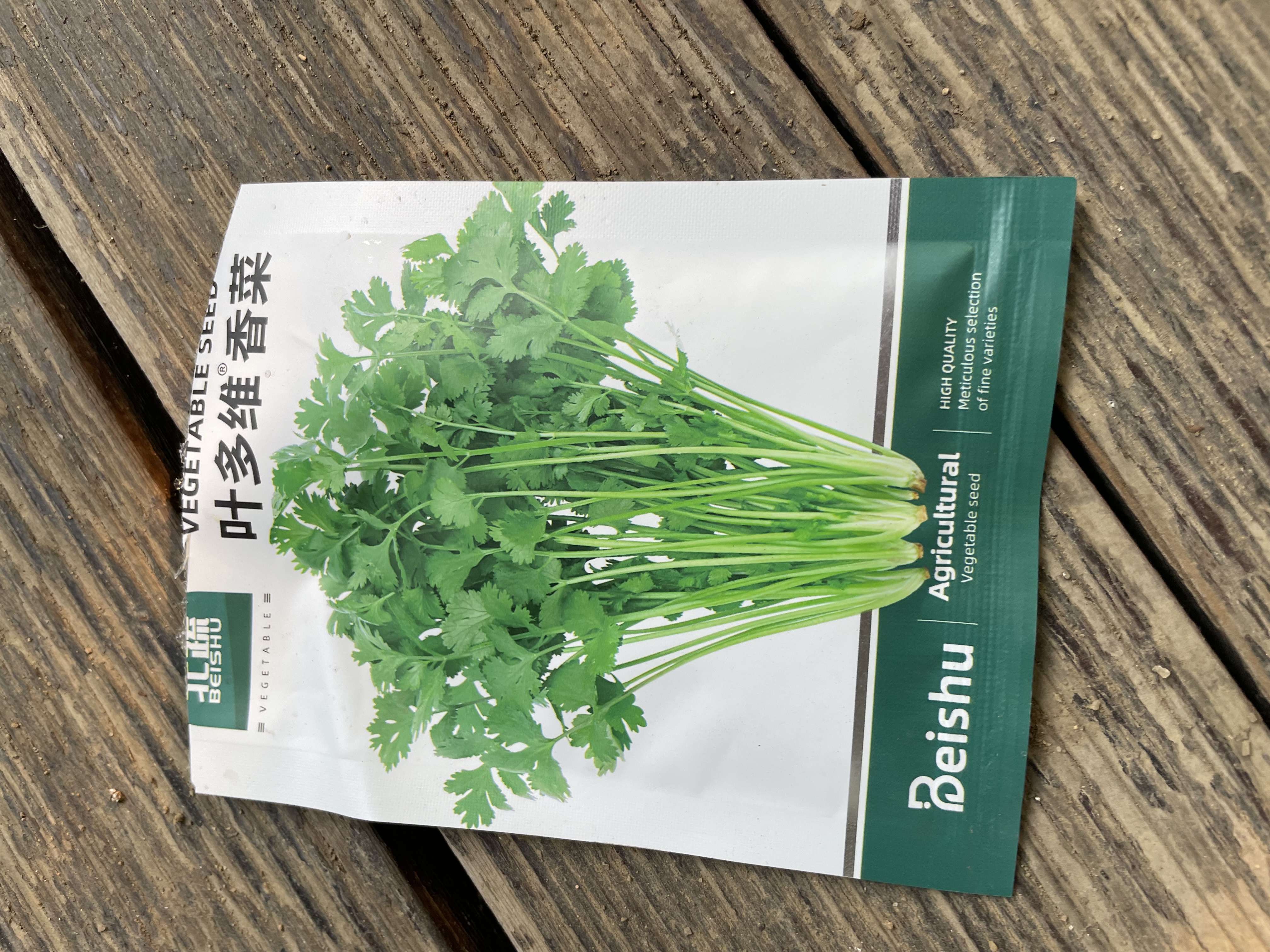 北蔬 香菜籽种子苗耐寒老品种四季芫荽种籽 叶多维香菜籽种子约1300粒 实拍图