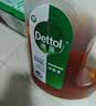 滴露（Dettol）消毒液250ml 衣物消毒水家居宿舍洗衣机消毒混洗无忧 实拍图