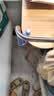 猫太子护栏坐姿矫正器儿童防低头写字矫正器小学生保护近视弯腰驼背幼儿姿势学习纠正加长款 蓝 实拍图