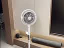 东芝（TOSHIBA）花信风pro空气循环扇电风扇双电机双扇叶除醛家用落地扇一级能效F-DSE900CN(W) 实拍图