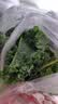 京鲜生云南新鲜羽衣甘蓝净重3.5斤 新鲜蔬菜 榨汁 健康轻食 源头直发 实拍图
