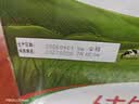 蒙牛全脂纯牛奶1L*6盒 3.2g蛋白 家庭早餐老人儿童奶健身 送礼盒装 实拍图