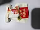 三只松鼠蒸枣核桃派260g蜜饯果干红枣零食办公室甜品灰枣核桃仁零食代餐 实拍图