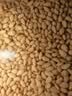 臻鲜 四川乐山钵钵鸡调料（麻辣320g）商用配方串串香麻辣烫调料 实拍图