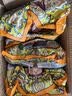 百宝库俄罗斯风味喜糖果食品巧克力混合装儿童零食结婚专用批发五斤 实拍图