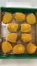 佳沛（zespri）新西兰金奇异果10粒巨大果146-175g猕猴桃水果礼盒 实拍图