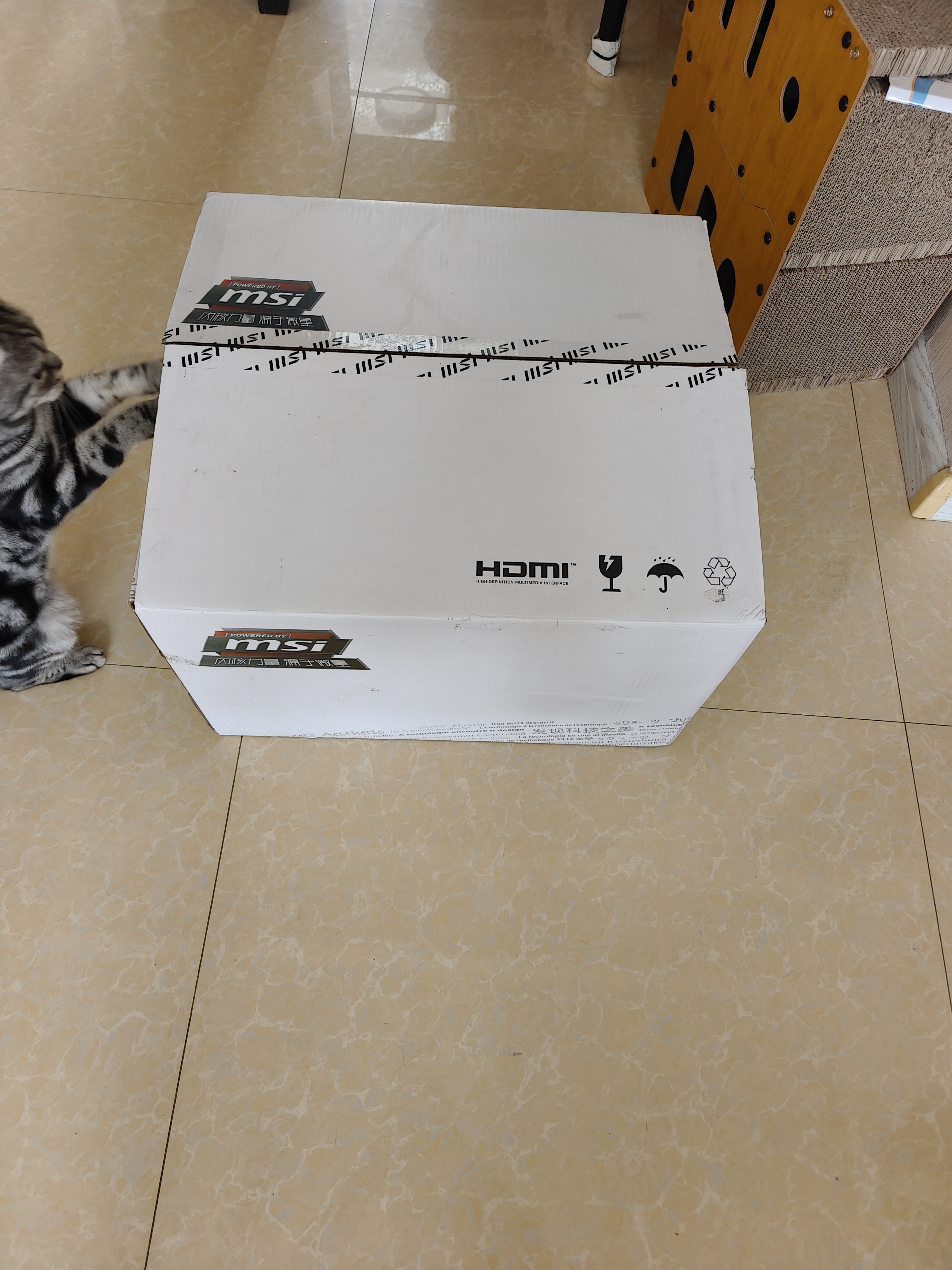 微星（MSI）暗黑骑士Codex i5 14400F/RTX3050/16G/512G 国家补贴电竞游戏设计师台式电脑主机整机 实拍图