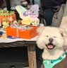 佳妍生日快乐蝴蝶KT板桌面摆件 派对场景布置氛围道具 实拍图
