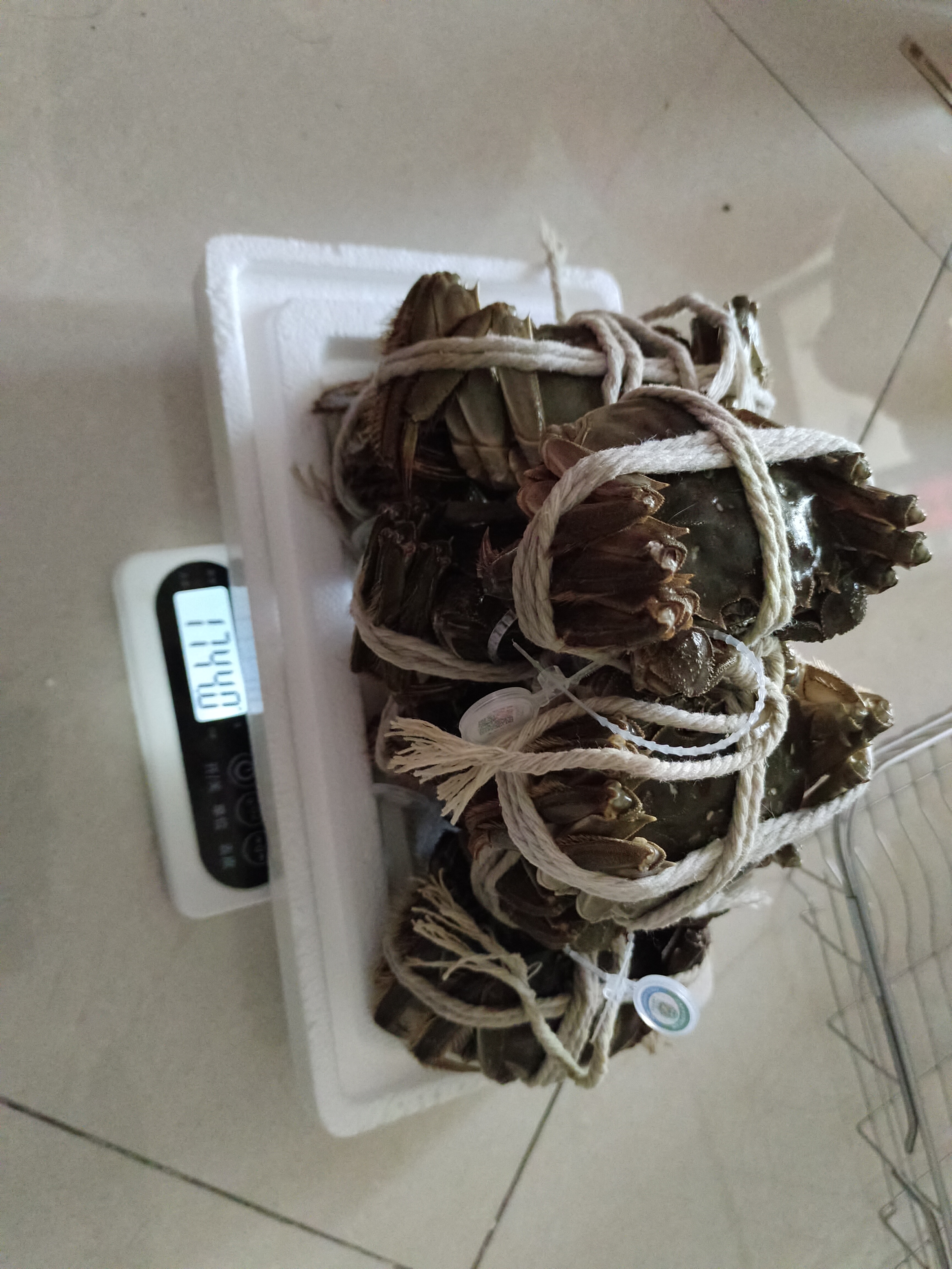 【礼券】阳澄状元大闸蟹礼券8888型公4.5两母3.5两4对8只海鲜螃蟹卡券礼盒礼品卡湖蟹 实拍图