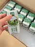 伊利金典纯牛奶 250ml*12盒 3.6g乳蛋白原生高钙礼盒装 实拍图