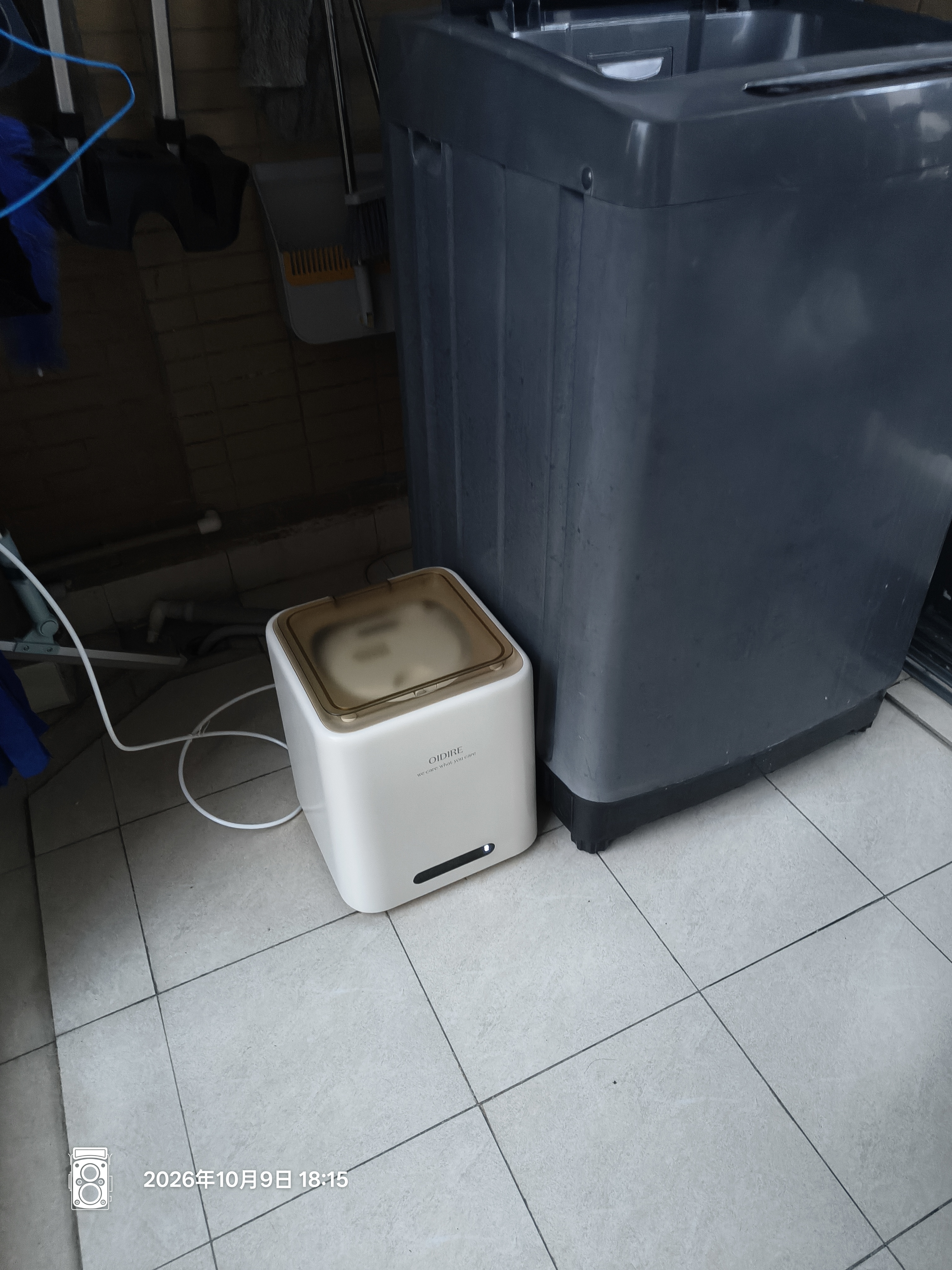 OIDIRE（偶点）内衣洗衣机 高温煮洗杀菌 迷你洗衣机小型内裤洗衣机内衣裤洗袜子专用全自动洗脱烘干一体 [洗烘】高温煮洗+四重杀菌+烘干-杀菌率99.9% 实拍图