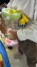 babycare恐龙吸管水杯儿童吸管杯大宝宝直饮杯幼儿园小学水壶浅草青 实拍图
