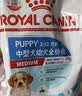 皇家狗粮 幼犬狗粮 宠物 小型犬 MIJ31 全价犬粮 2-10月 2KG 实拍图