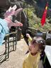 偶森儿童骑行手套运动防滑单杠攀岩攀爬户外自行车轮滑男女童半指手套 实拍图